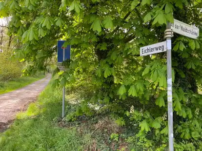 Bei dem Eichlerweg handelt es sich um eine Sackgasse. Die politische Diskussion &uuml;ber den belasteten Namen landet offensichtlich nicht in derselben.