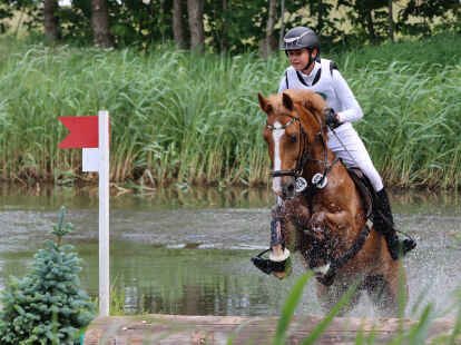 Auch durchs Wasser geht’s für die Ponyreiter bei der Europameisterschaft Ende Juli in Westerstede.