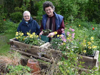 Theda Harms-Thiemann und ihr Mann Hans-Peter Thiemann am Blumentisch ihres naturnahen Gulfhausgartens in Waddewarden.