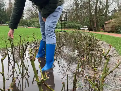 Deutlich zu nass und erneut zu warm, das war der Monat April f&uuml;r Oldenburg.