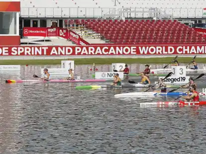 Die europ&auml;ische Olympia-Qualifikation der Kanuten findet im ungarischen Szeged statt.