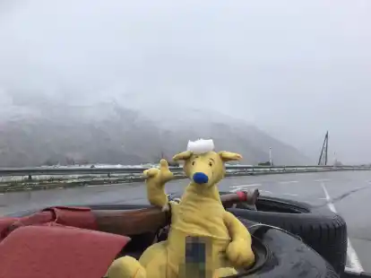 Maskottchen Bruno ist immer mit dabei und bekam auch Schnee und Eis zu sp&uuml;ren.