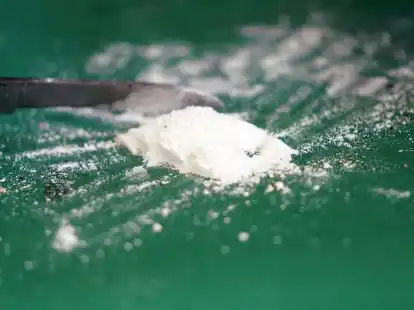 Die Menge des sichergestellten Kokains im Hamburger Hafen hat sich verdreifacht.