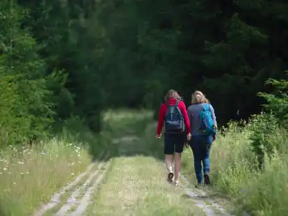 Wanderinnen am Gr&uuml;nen Band im Harz: K&uuml;nftig kann auch auf der neuen l&auml;nder&uuml;bergreifenden Wanderroute &laquo;Grenzerfahrung Gr&uuml;nes Band&raquo; das ehemalige Grenzgebiet erkundet werden.