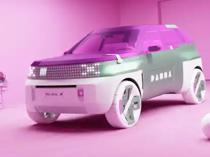 Ob das Modell am Ende wirklich so aussieht? Ihren Einstand gibt die neue Panda-Familie in diesem Sommer mit einem Citycar.