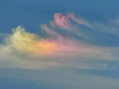 Trauer ist ein Prozess, der nicht geradlinig verl&auml;uft. Einen Ort zu finden, der die Liebe zum Verstorbenen bewahrt, kann bei der Trauerbew&auml;ltigung helfen.