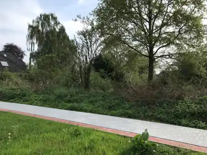 Kein Zugriff f&uuml;r die Stadt: Das seit Jahrzehnten leere Privatgrundst&uuml;ck verkommt.