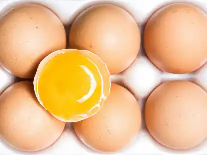 F&uuml;nf Eier-Marken erf&uuml;llten die &laquo;&Ouml;ko-Test&raquo;-Kriterien am besten und erreichten das Pr&auml;dikat &laquo;sehr gut&raquo;. (zu dpa: &laquo;Eier im &Ouml;ko-Test: 5 mal Bestnote, sonst Abz&uuml;ge beim Tierwohl&raquo;)