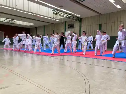 Einen gesamten Tag lang haben die jüngsten Karateka des JV Bockhorn gemeinsam trainiert.