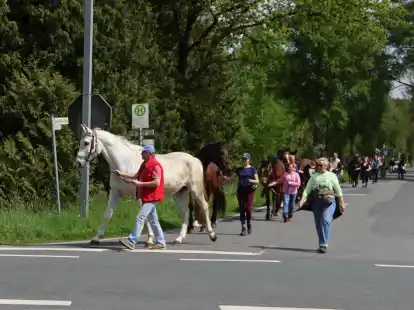 Unter dem Motto „Almauftrieb“ brachten Gnadenhofbesitzer Bernhard Kutz und seine vielen freiwilligen Helfer auch in diesem Jahr wieder die Pferde von Rüdershausen auf die Sommerweiden in Mentzhausen.
