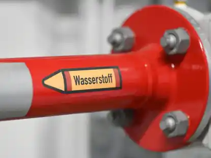 Laut Experten ben&ouml;tigt Deutschland deutlich mehr Wasserstoff als gedacht - dieser soll vor allem aus dem Ausland kommen.