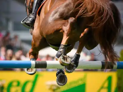 Das Derby-Turnier in Hamburg wurde von einem Sturz &uuml;berschattet.