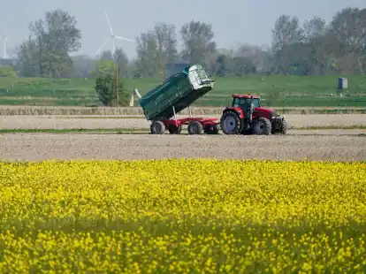 Die Umweltauflagen f&uuml;r Landwirte sollen auf EU-Ebene gelockert werden - das ist nicht unumstritten.