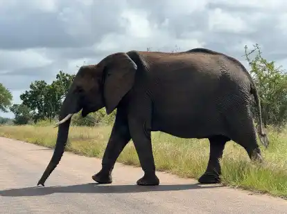 Impressionen aus dem Trainingslager in S&uuml;dafrika.