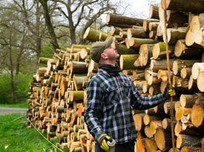 Jan Fiddy Winkelhake bei der Arbeit: Die Holzstapel sind vermessen.