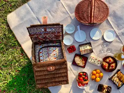 So sieht wohl ein klassisches Picknick aus: leckere Snacks aus dem Picknickkorb, die man auf der Picknickdecke sitzend genießt.