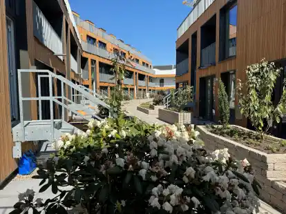 Die Dachgartenanlage auf vier Meter H&ouml;he im ersten Obergeschoss entwickelt sich langsam.