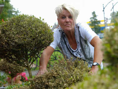 Viele Gartenbesitzer haben den Kampf gegen den Buchsbaumzünsler aufgegeben.