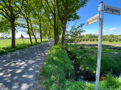 F&uuml;r den Schulweg zwischen L&uuml;ningsweg und Bohlenweg bringen Hattens Gr&uuml;ne eine zeitlich befristete Sperrung f&uuml;r Kfz ins Spiel.