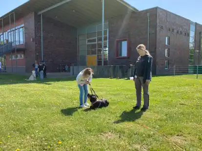 Auf der Rasenfläche, auf der 2022 noch die Hunde-AG der Comenius-Schule trainierte, könnte ein Erweiterungsneubau geschaffen werden, der sich an das jetzige Forum anschließt.
