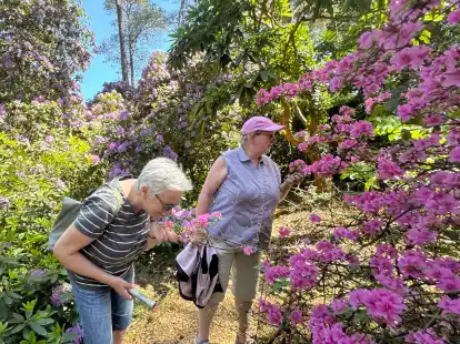 Farbenpracht im Rhodopark Hobbie in Petersfeld: Besucher genießen momentan die besonders üppige Blüte.