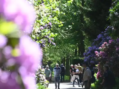 Der Rhododendronpark Gristede ist der beliebteste und sch&ouml;nste Park im Ammerland
