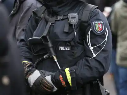 Nach dem Fußball-Bundesligaspiel zwischen Borussia Dortmund und dem SV Darmstadt 98 griffen Problemfans Polizisten an.