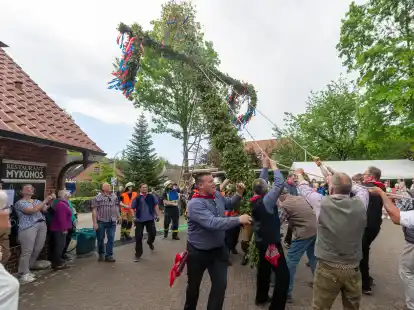 Beim Mykonos wurde der Pfingstbaum aufgestellt.