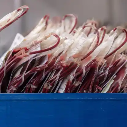 Der britische Skandal um infizierte Blutkonserven sollte vertuscht werden.