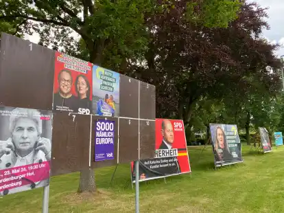 Die Europawahl steht kurz bevor. Das zeigen die vielen Wahlplakate wie hier am n&ouml;rdlichen Wardenburger Ortseingang.