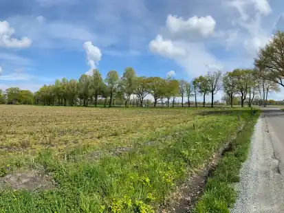 Die f&uuml;r den Sandabbau freigegebene Fl&auml;che liegt n&ouml;rdlich des M&uuml;hlenwegs in der N&auml;he der Hatter Landstra&szlig;e.