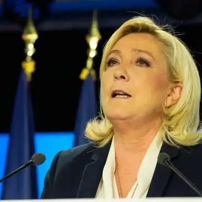 Die rechtsextreme Partei Rassemblement National (RN) um Marine Le Pen nimmt Abstand von der AfD.