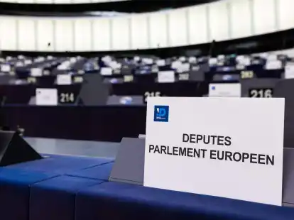 Zu der ID-Fraktion im EU-Parlament gehören neben der italienischen Lega unter anderem auch die französische Partei RN von Marine Le Pen.