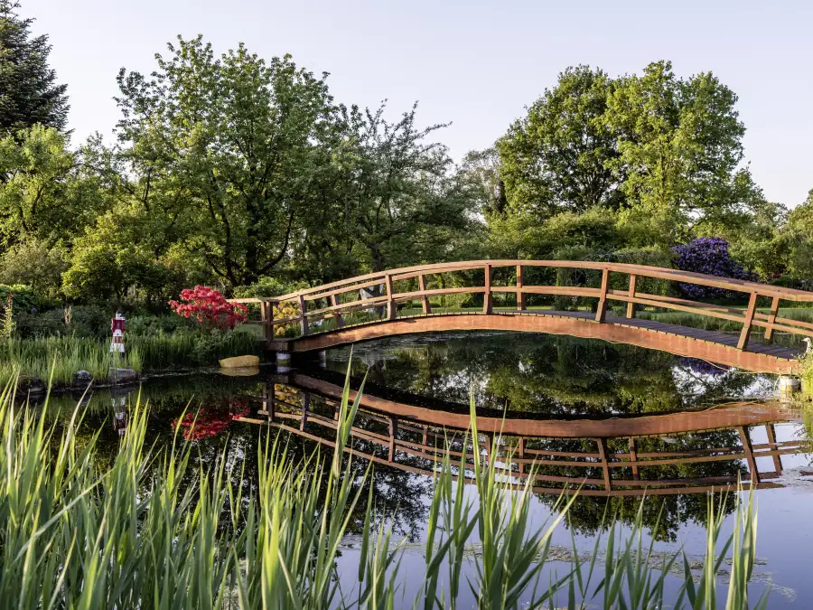 Tage des offenen Gartens im Ammerland Diese Gärten sind für Besucher