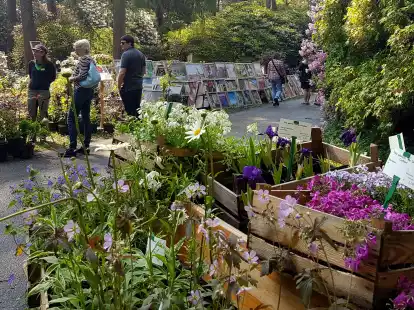 Rund 80 Aussteller beteiligen sich an diesem Wochenende im Rhodopark Hobbie wieder an den „Ammerländer Gartentagen“: Eine Vielfalt an Waren wird angeboten.