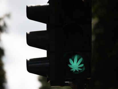 Grünes Licht für Marihuana im Bundestag? Trotz Freigabe will die CDU das Parlament zur „cannabisfreien Zone“ erklären lassen – das schließe auch Haschkekse mit ein.  (Archivbild)