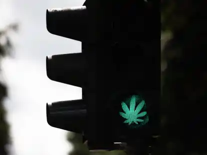 Grünes Licht für Marihuana im Bundestag? Trotz will die CDU das PArlament zur „cannabisfreien Zone“ erklären lassen – das schließe auch Haschkekse mit ein.  (Archivbild)