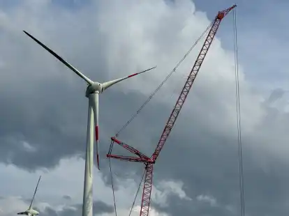 125 Meter hoch ist der Kran, der derzeit im Windpark Abens steht. Er wurde mit etwa 25 Lkw angeliefert.