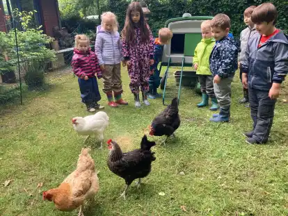 Die Kinder des Kindergartens Birkenhof in Ganderkesee sind neugierig auf die Hühner.