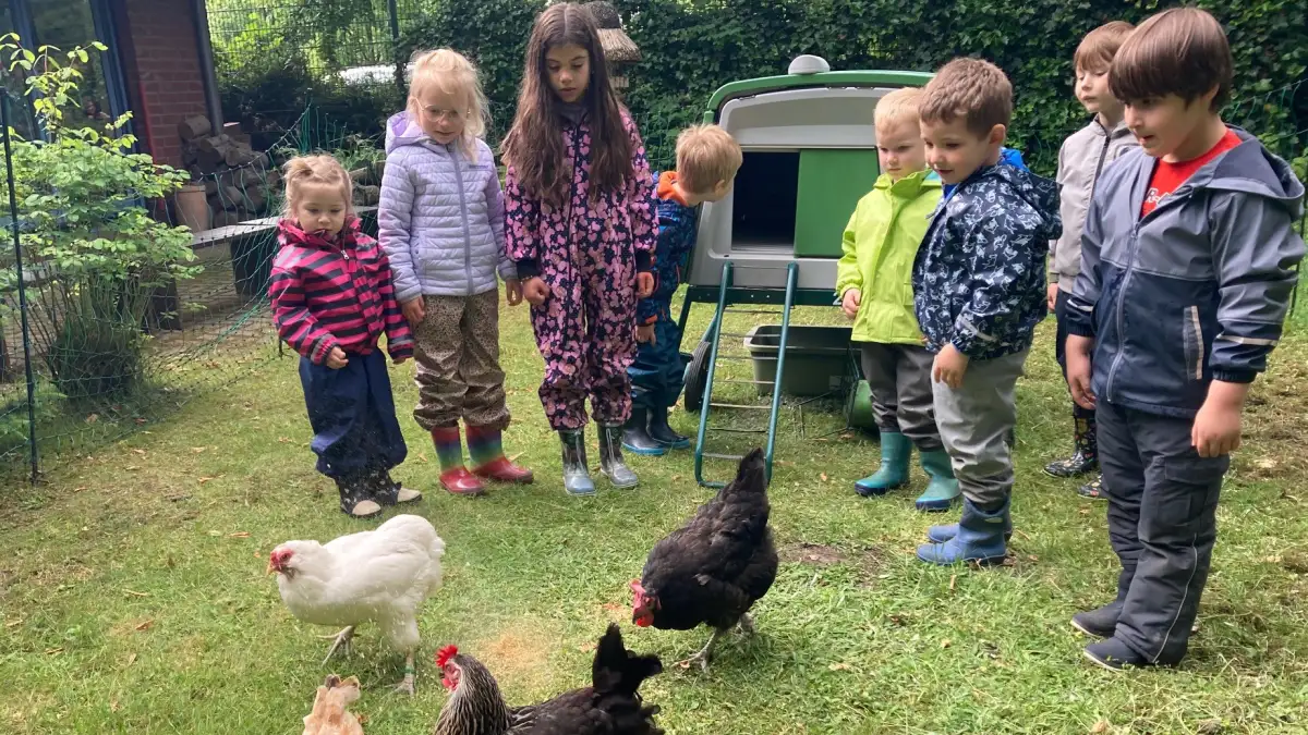 Kindergarten in Ganderkesee: Hier lernen Kinder mit Hühnern
