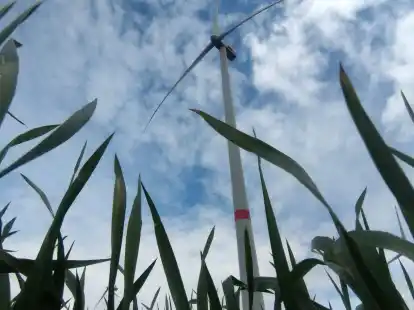 F&uuml;r repowerte und neu aufgestellte Windkraftanlagen ist die Akzeptanzabgabe neuerdings Pflicht.