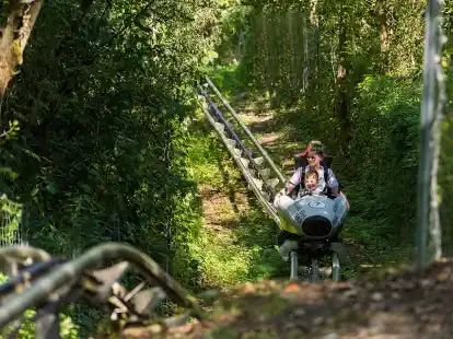Die Natur-Bobbahn im Kienbergpark wurde durch ein Feuer zerst&ouml;rt. Diesen Sommer aber soll die Bahn voraussichtlich wieder &ouml;ffnen.