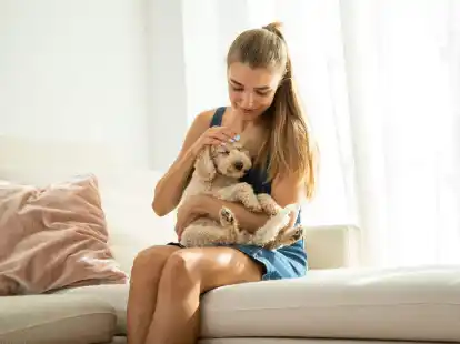 Haustiere sind Familienmitglieder. Erkranken sie schwer, gibt es gl&uuml;cklicherweise meistens Behandlungsm&ouml;glichkeiten.