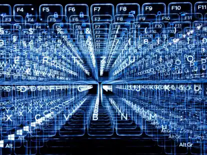 Mehrere&nbsp;der derzeit einflussreichsten&nbsp;Schadsoftware-Familien seien&nbsp;vom Netz genommen worden, so das BKA&nbsp;und die Generalstaatsanwaltschaft Frankfurt am Main (Symbolbild).