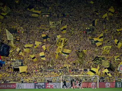 Die Fan- und F&ouml;rderabteilung von Borussia Dortmund sieht den Sponsoring-Deal des BVB mit dem R&uuml;stungskonzern Rheinmetall kritisch.