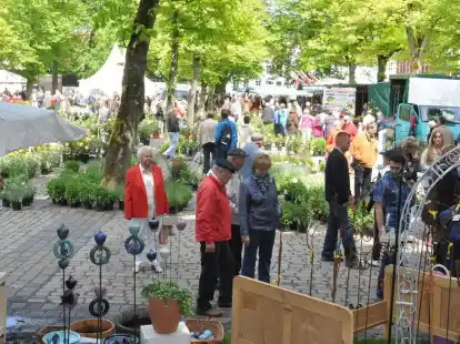 Der Norder Rosenmarkt ist ein Publikumsmagnet. Die Organisatoren rechnen auch diesmal mit Tausenden Besuchern.