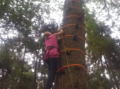 Auch in diesem Jahr dabei: Mit dem Ferienpass der St&auml;dte Jever und Schortens k&ouml;nnen Kinder ab 9 Jahre Abenteuer im Kletterwald Conneforde erleben.