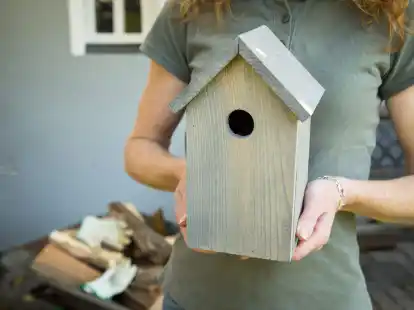 Beim Anbringen eines Nistkastens sollte man auf die Bed&uuml;rfnisse der V&ouml;gel achten. (zu dpa: &laquo;Nistk&auml;sten mindestens zwei Meter &uuml;ber dem Boden aufh&auml;ngen&raquo;)