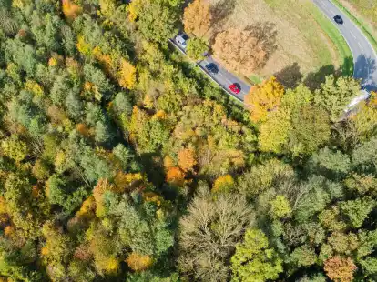 Auf der Landstra&szlig;e sind &Uuml;berholvorg&auml;nge speziell bei kurviger Streckenf&uuml;hrung riskant.