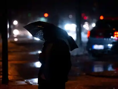 Die Fachleute sagen: Sollte es derart viel regnen, sind &Uuml;berflutungen wahrscheinlich.